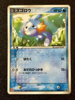 ポケパークのミズゴロウ PROMO PCG-Pプロモカード 048/PCG-P - メルカリ