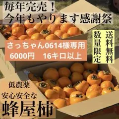 さっちゃん0614様専用 蜂屋柿　16キロ以上　6000円