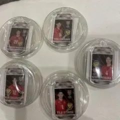 バレーボール男子日本代表アクキー5個セット