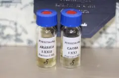 2025年最新】fueguia caobaの人気アイテム - メルカリ