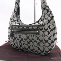 Coach OneShoulder Hobo Bag 6070 Y2K 1172