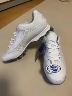 Item thumbnail for item d80806ab-c50c-4488-8a33-ac54aea1c988