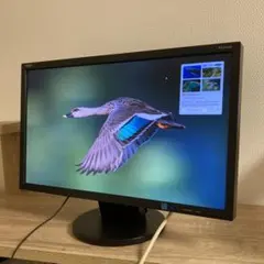 【動作品・訳あり】NEC　21.5インチ　モニター　AS223WM