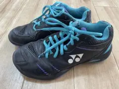 Item thumbnail for item 87370e7d-cf50-4116-8ca7-0fca03e33bb2