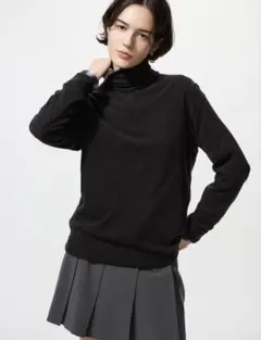 ユニクロ ヒートテックフリースタートルネックT