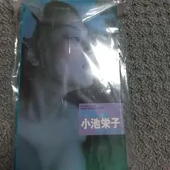 2026年最新】 小池栄子の人気アイテム - メルカリ