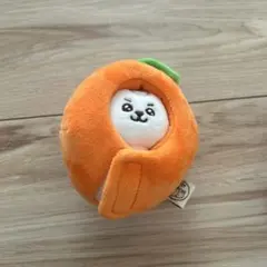 EXO チャニョル チャンヨル CHANYEOL 上海ポップアップ限定マグネット
