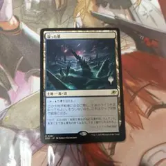 MTG 湿った墓 日本語 プロモパック版 - メルカリ