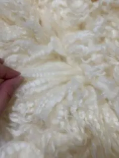 ニューボーンフォト用フロカティ