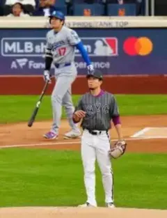 ❣️商談中❣️青べこ様　専用ページ4枚口