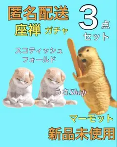 座禅 其の三 ガチャ ねこ スコティッシュフォールド ヒマラヤ マーモットのサムネイル