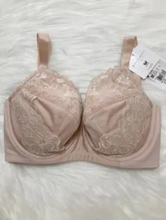 Item thumbnail for item 8efd36b0-0889-46e8-bac3-049777a15a08