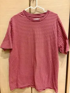 STUSSY 半袖Tシャツ ストライプM