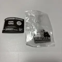 MINITEEN ミニティーン ぷっくりめじる し　ガチャガチャ ジュン　JUN