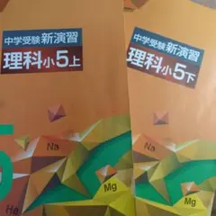 中学受験　新演習　小６　全教科上下+日記 81PjSCLwTwL._AC_UF350,