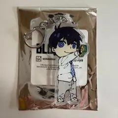 ブルーロック アメリカ 紀伊国屋 アクリルキーホルダー ネス ブルーロック 紀伊国屋 アメリカ USA キーチェーン ネス - メルカリ