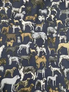 Item thumbnail for item a63bb372-d9bd-4f14-85ee-27e8a35d92bb