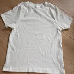 白 ニットTシャツ 新品