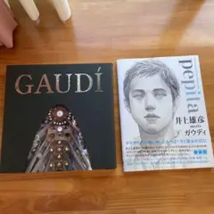 pepita : 井上雄彦meetsガウディ　　GAUDI
