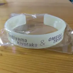 杉山清貴&オメガトライブ ミュージシャン