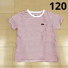 Lee リー　キッズ　ボーダーTシャツ　120