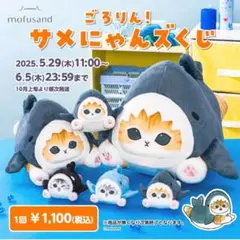 サメにゃん b賞