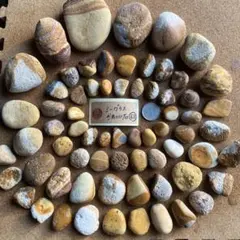 Item thumbnail for item 3e0869af-dacf-474b-b26c-3d11e72f3fce