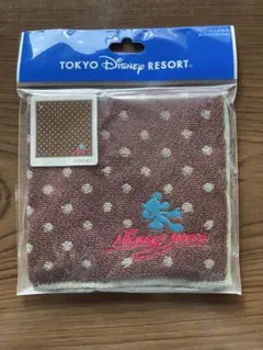 ☆東京ディズニーリゾート　ミニタオル☆