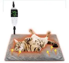 Item thumbnail for item 061695cd-1767-46d4-98b4-6afd3adbfd29