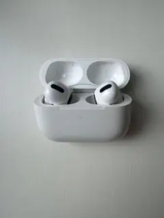 AirPods Pro 第1世代（MWP22J/A）ケース・本体