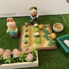 デコレ　コンコンブル decole concombre 畑セット