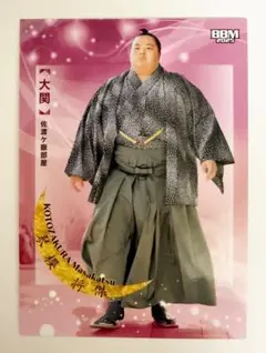 Item thumbnail for item 165f1804-239e-42b9-a413-b1d028d208be