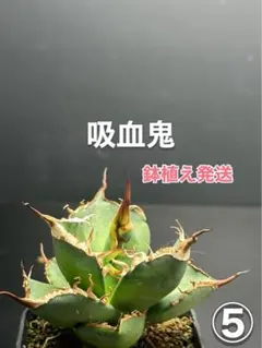 0shiki様 リクエスト 4点 まとめ商品