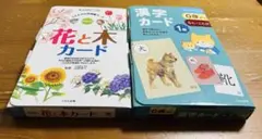 くもん　花と木カード　漢字カード1集 セット　小受　知育
