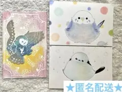 ★まとめ売り★ 原画セット　セキセイインコ、フクロウ、シマエナガ