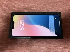 iPhone13Pro Max 256GB