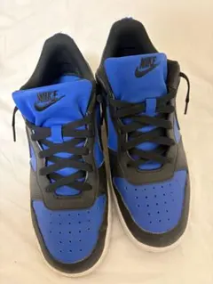 Nike スニーカー 青/黒