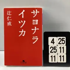 サヨナライツカ 4-25*25.11*11