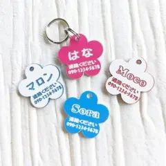 ✲集光迷子札*゜軽量アクリルプレート／ペット用ネームタグ／オーダー