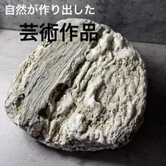 秋田産 珪化木 50キロ 庭石 石 鑑賞石 石材 庭 坪庭 木化石 - メルカリ