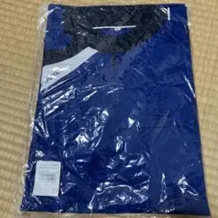 Item thumbnail for item e9db5039-18e2-4fba-b5e8-53546e51a894