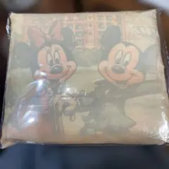 ディズニーランド　エコバッグ