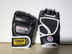 Item thumbnail for item c41f3b81-012e-40dc-a35e-bfc22ee422d4