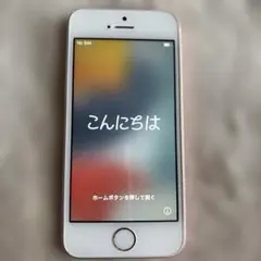 メルカリ便送料無料】 iPhone SE 第1世代 アクセサリー一部あり - メルカリ