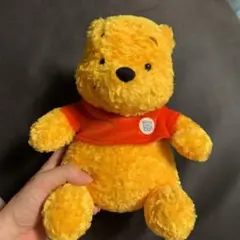 ディズニー　heartland  プーさん　ぬいぐるみ