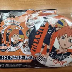 ハイキュー!!BIG缶バッジコレクション 日向翔陽
