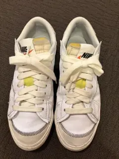 Item thumbnail for item ea36aac8-91ac-44aa-abe4-14116342a6b1