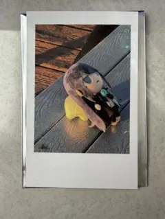 2025年最新】ado チェキ シークレットの人気アイテム - メルカリ