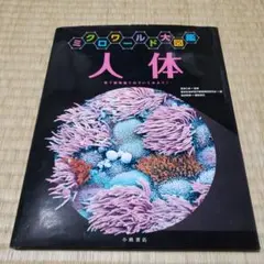 人体 : 電子顕微鏡でのぞいてみよう!