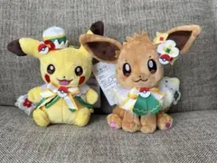 ポケパーク限定 カーニバル 花飾り ピカチュウ イーブイ キーホルダー